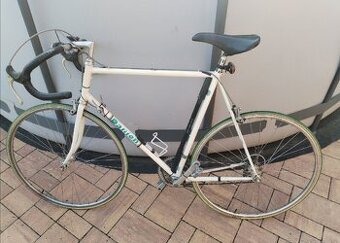 Retro kolo Danion - 1