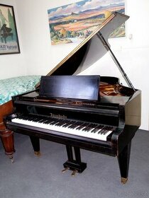 Koupím klavír zn. Bösendorfer - 1