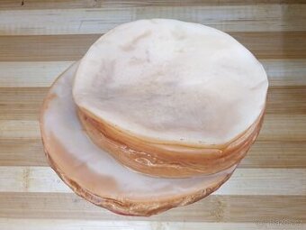 Kombucha scoby