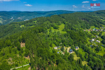 Prodej lesa, 1984 m², Tanvald