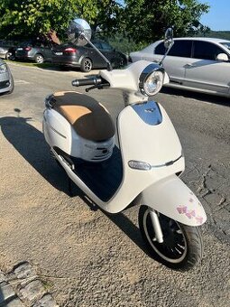 Hecht citis white