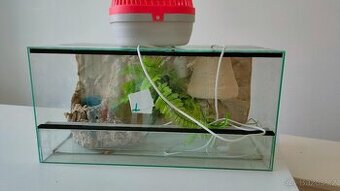 Terárium 60x30 a přepravní box (zdarma)