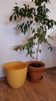 Obal na květináč keramický velký 33cm, žlutý