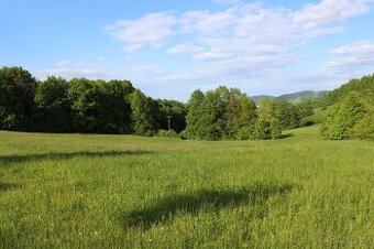 Prodej pozemku Čertův Mlýn 3425 m2