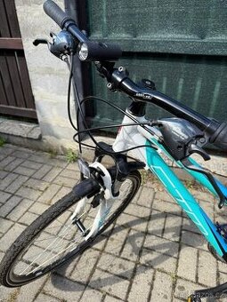 Kolo CTM BORA 2.0 TREK 2019