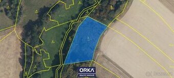 Prodej, Lesy, 8854m2 - Otinoves - 1