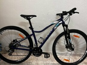 SPECIALIZED JETT 29 M