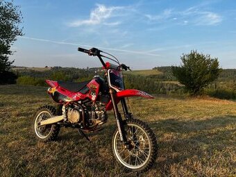 Pitbike LXR 155 - 1