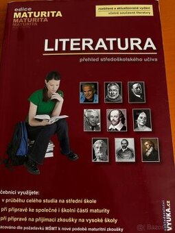 Čj literatura