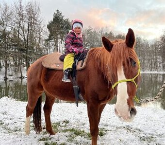 Valach QhxČt 12 let