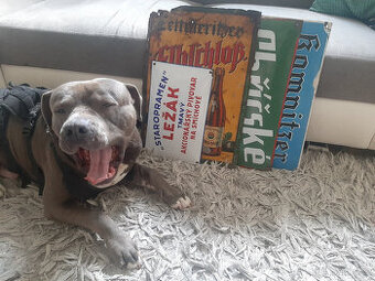 Pivní sklo sklenice půllitry tretinky cedule lahve 17