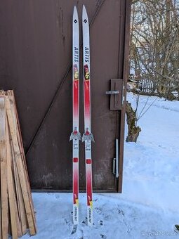 Běžky Artis Cristal 667