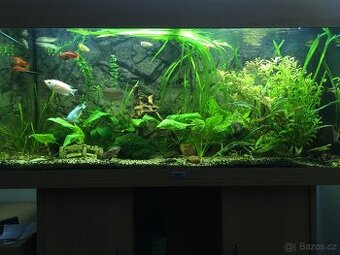 Akvárium Juwel Rio 180