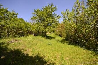 Prodej zahrady, CP 705m2, Hostěrádky-Rešov, okres Vyškov