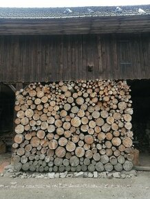 Palivové dřevo