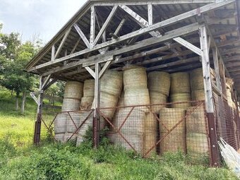 Loňské seno - 1