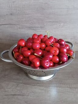 Třešně