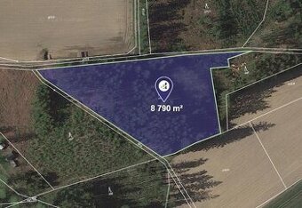 Prodej lesu v k.ú. Sázava u Žďáru nad Sázavou - 1