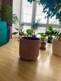 Velký terakotový květináč