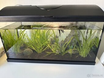 Akvárium cca 60L