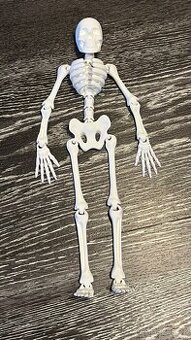 3d tisk Kostra flexi