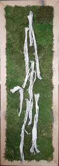 Obraz mech s kůrou 51 x 144 cm
