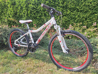 Dětské horské kolo Superior Paint 24 palců