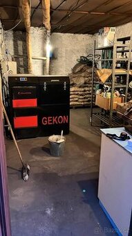 Gekon Pellet 25