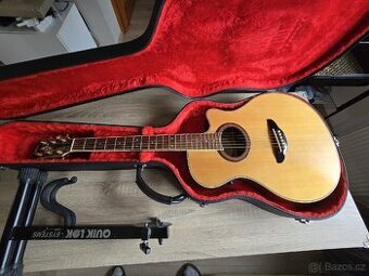 Yamaha APX - 7CT s pouzdrem a stojánkem