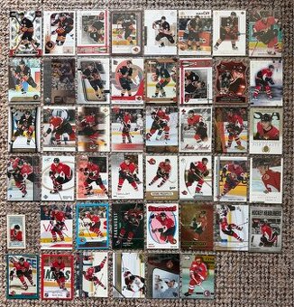 Hokejové karty Martin Havlát - NHL - 61 karet