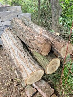 Prodám akátový špalek na štípání dřeva