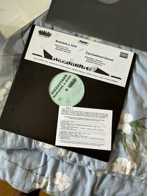 vinyl Dizzastar - Budvarek a joint - 1