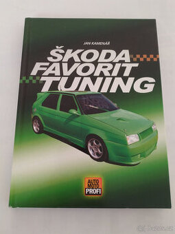 ŠKODA FAVORIT, TUNING, 2004 - 1