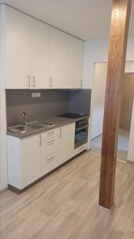 Pronajmu byt 1+kk 35m2 Rokycany - kamenný Újezd
