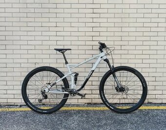 Cube Stereo 29" 120 Race L 2021