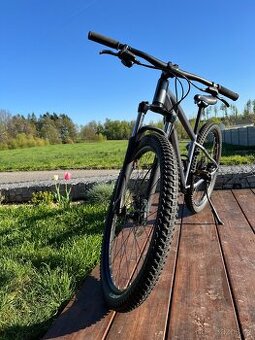 RockRider