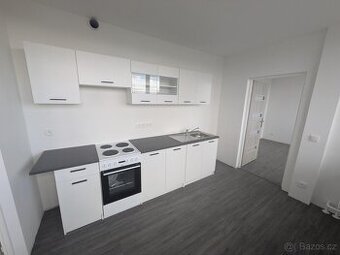 Pronájem bytu 3+1, U Věžových domů 2935/6, Most