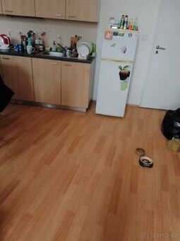 PRONÁJEM GARSONIÉRA 1KK - SPOLUBYDLENÍ - BRATISLAVSKÁ, BRNO