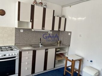 Žeravice - Byt 1+1 v přízemí rodinného domu se samostatným v