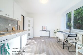 Pronájem bytu 1+1, Střekov, Ústí nad Labem, ev.č. 00841