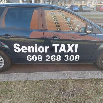 Řidič taxislužby
