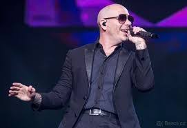 Pitbull, Praha 18.6.2025, 1ks sektor 112