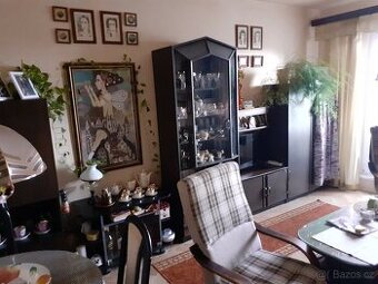 Pronajmu 2+1 Kladno Krocehlavy