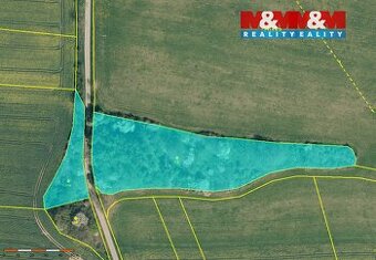 Prodej lesa, 19561 m², Načeradec