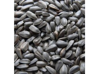 SLUNEČNICE ČERNÁ  A PROSO ŽLUTÉ