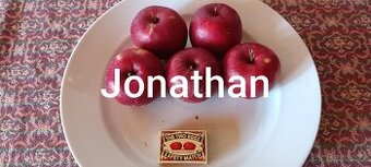 Prodám česaná jablka Jonathan BIO bez postřiků