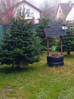 Velký Výprodej Vánočních stromků
