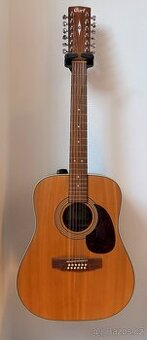 Prodám dvanáctistrunnou kytaru Cort Earth 70/12 NS