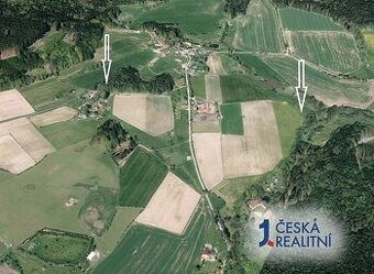 Pole 2 098 m², Podíl 33 % o výměře 699 m²