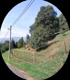 Lukrativní pozemek k zastavění 2 000 m² + 6 800 m²